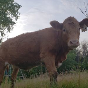 Meet your Posher, Aj